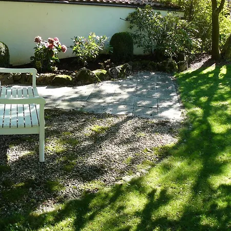 Ahorn In Bad Dürrheim