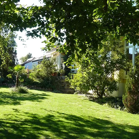 Ahorn In Appartement
